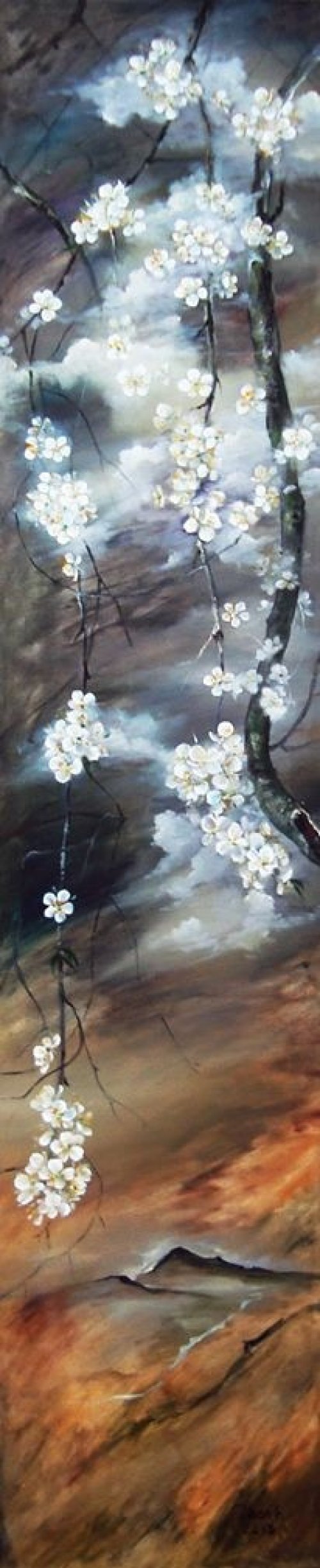 Wild Apricot