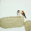 Sparrows 1