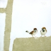 Sparrows 3