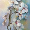 Blossom Season #5