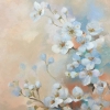 Cherry Blossom (No.4)