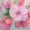 Blossom Season #1