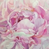 Petals Melody #14