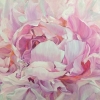 Petals Melody #15