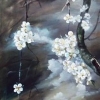 Wild Apricot