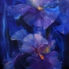 Petals Melody #1