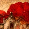 Landscape 2