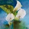 Arum 1