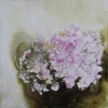 Hortensia