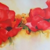 XPoppies
