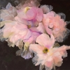 Petals Melody #7