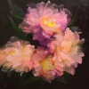 Petals Melody #8