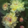 Petals Melody #9