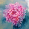 Petals Melody #8