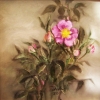 Wild Rose
