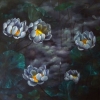 Lotus at Moonless Night 