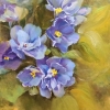 Sweet Violet