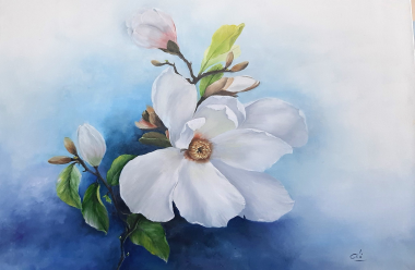 Magnolia