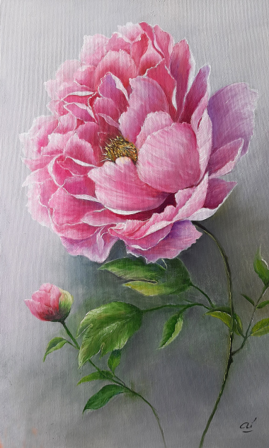 Peony #3