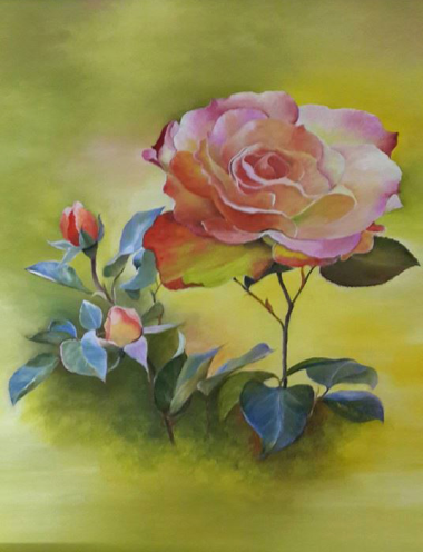 Rose #2