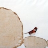 Sparrows on round stones