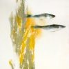 Fish #15