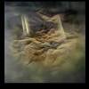 Untitled #1